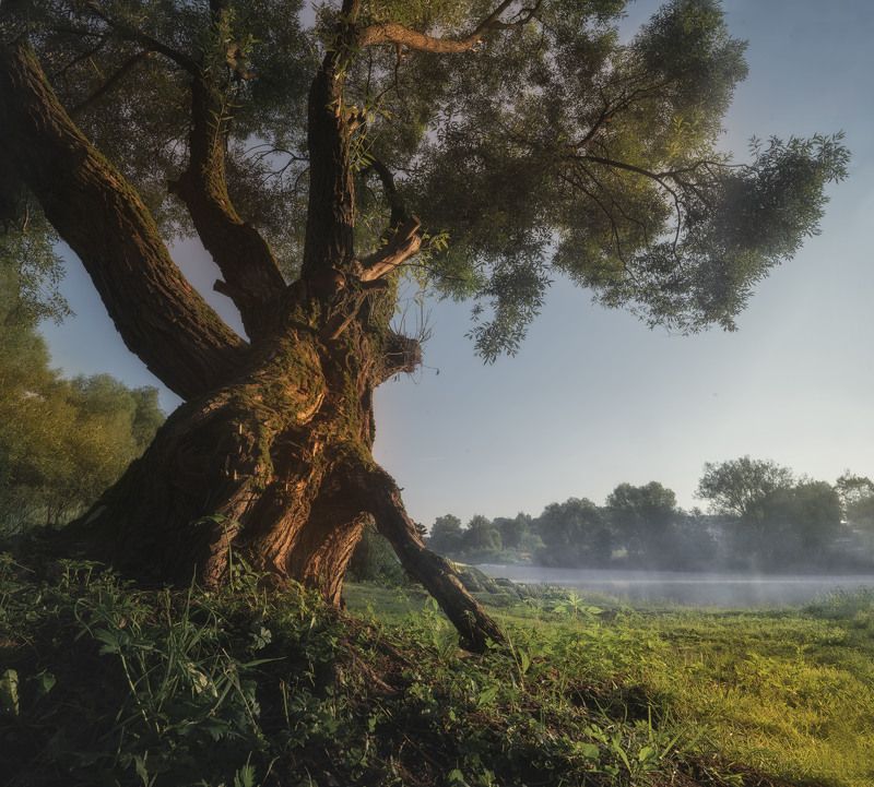 рассвет у реки фото превью