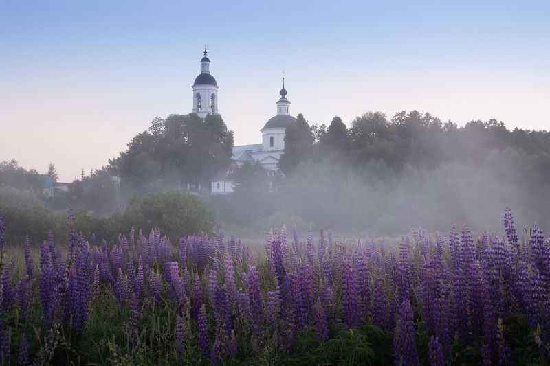 утро, туман, церковь, деревенский пейзаж, шерна Июнь фото превью