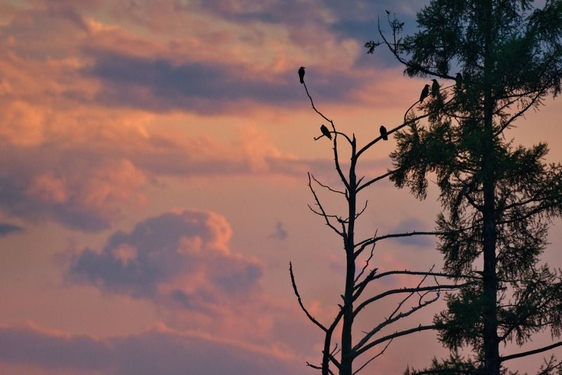 Закат на озере Хал фото превью