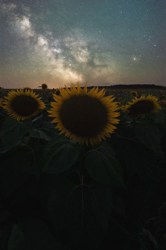 Ночь августа фото превью