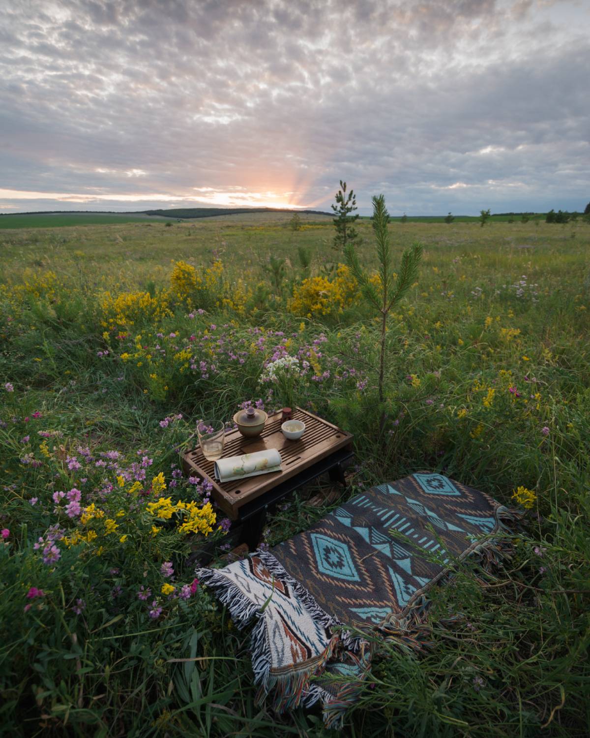 , Алексей Проняхин
