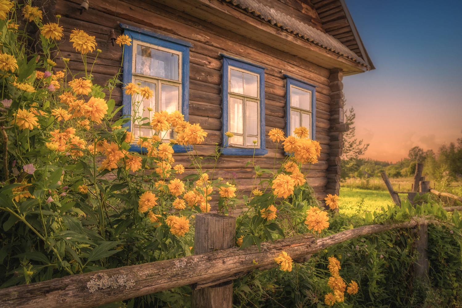 тверская, область, Гусева Елена