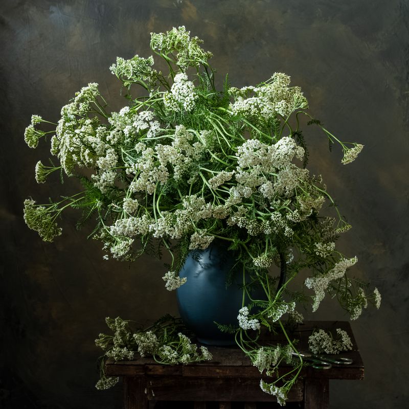 натюрморт, цветы, тысяанлистник Букет тысячелистника фото превью