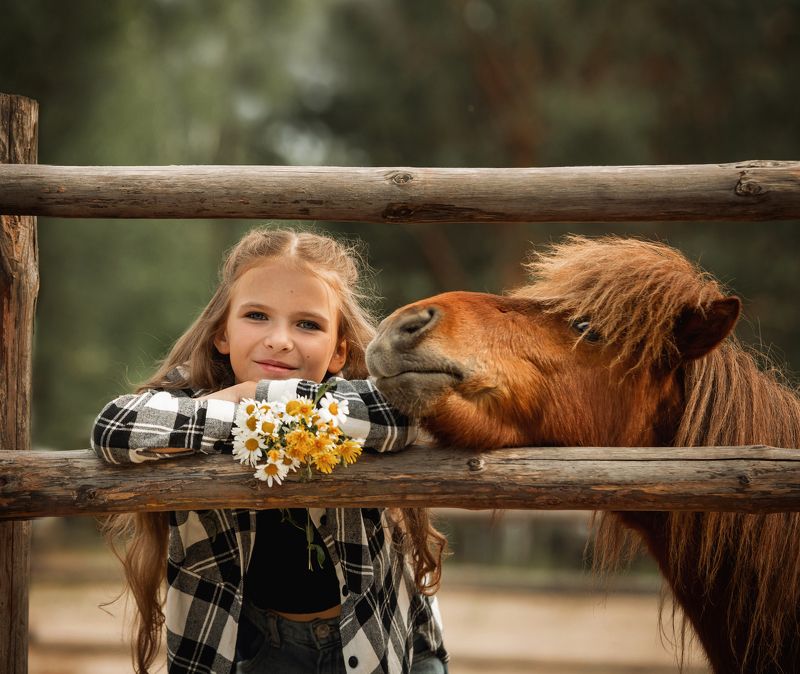 Ребёнок, лошадь, ромашки А что это вы тут делаете? фото превью
