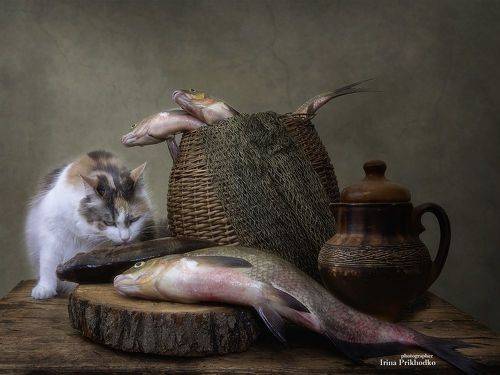 Рыбный день