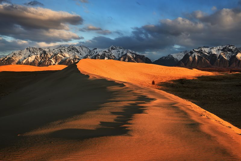 Песчаные дюны Забайкалья... фото превью