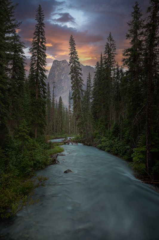canada, rocky mountains, emerald lake, forest, river, mountain, Mount Burgess фото превью