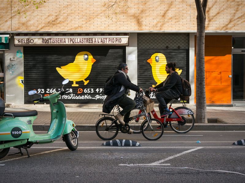 Chicks фото превью