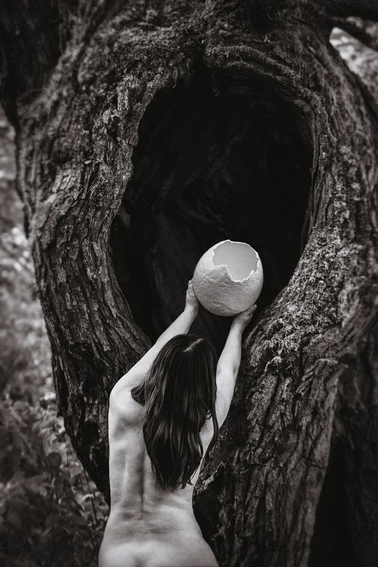 woman, forest, egg, shell Awakening(Shell) фото превью