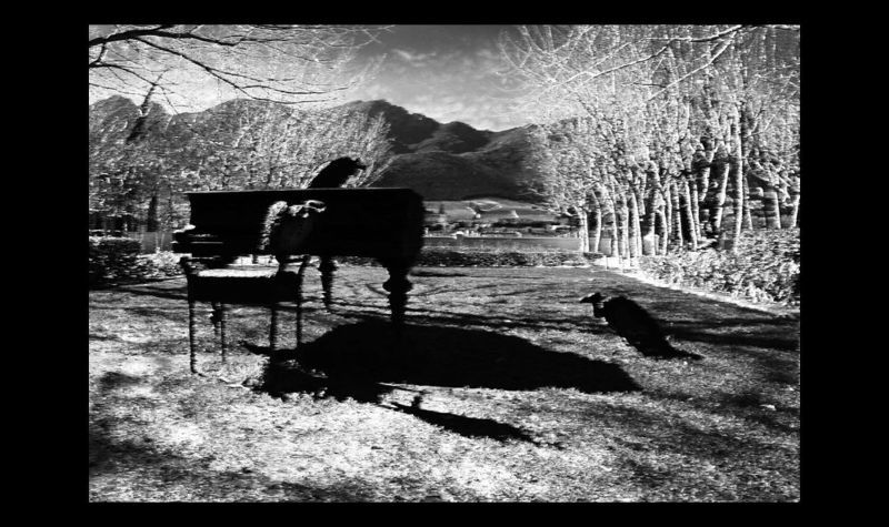 last day фото превью