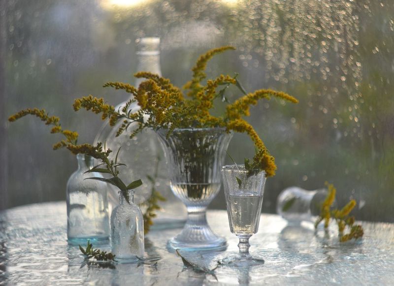 8 августа. фото превью