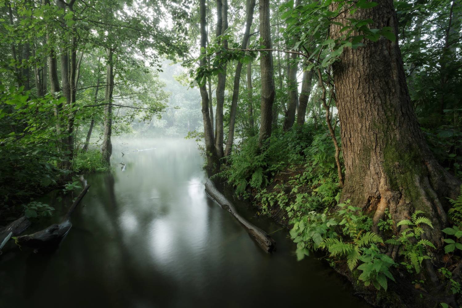 васильевский, ручей, Михаил Корнилов