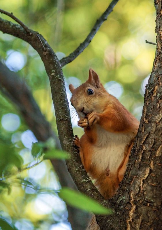 Ты не ты когда Очень кушать хочется фото превью