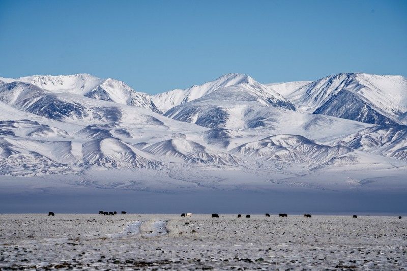 Январский пейзаж фото превью