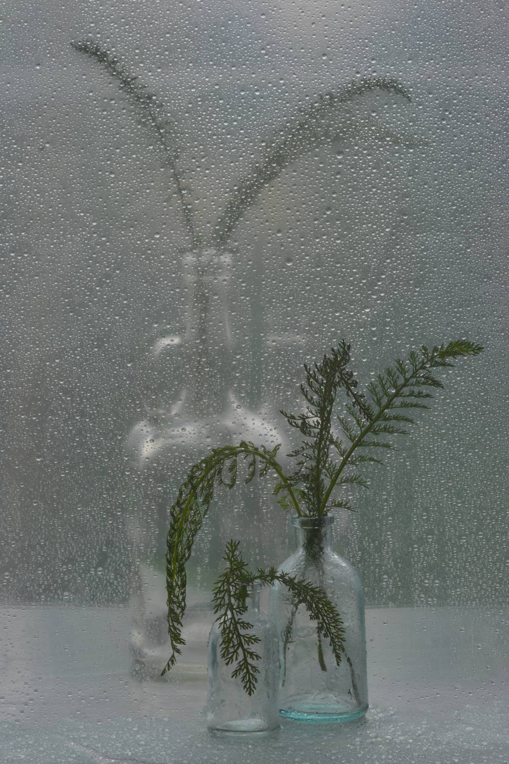 , Оксана Евкодимова