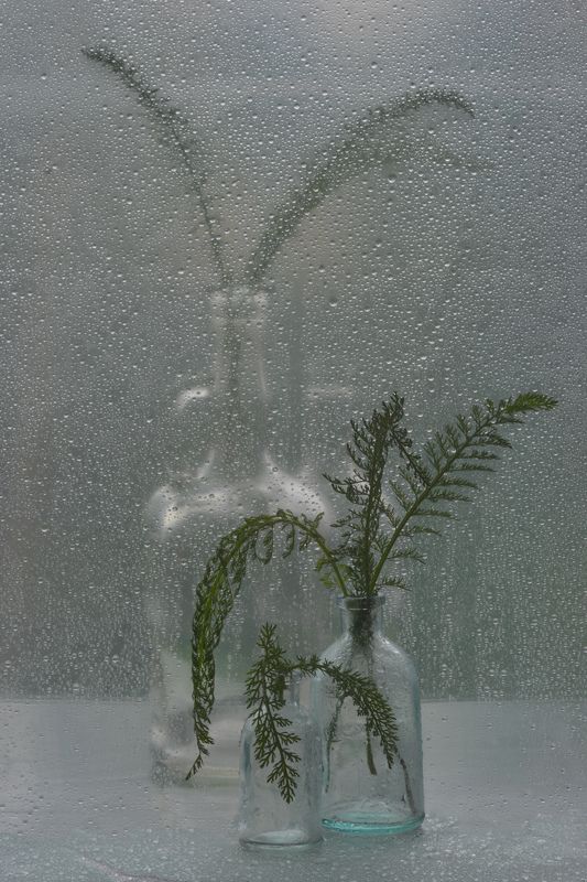 Пасмурное утро. 9 августа. фото превью