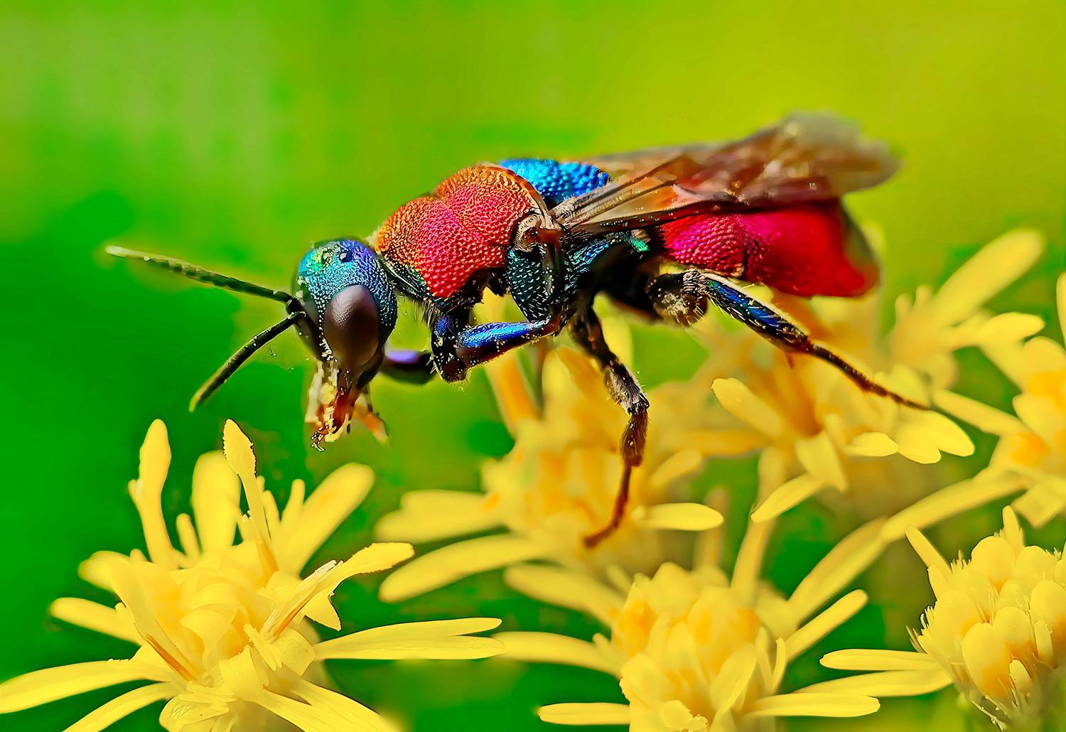 , Кузнецов Дмитрий