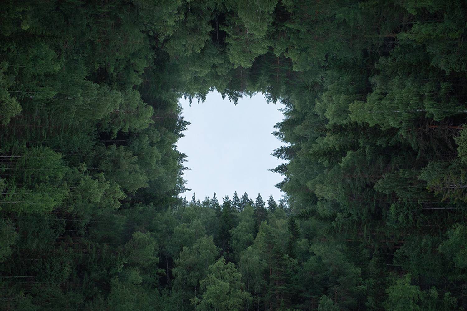 , Александр Сейд Панов