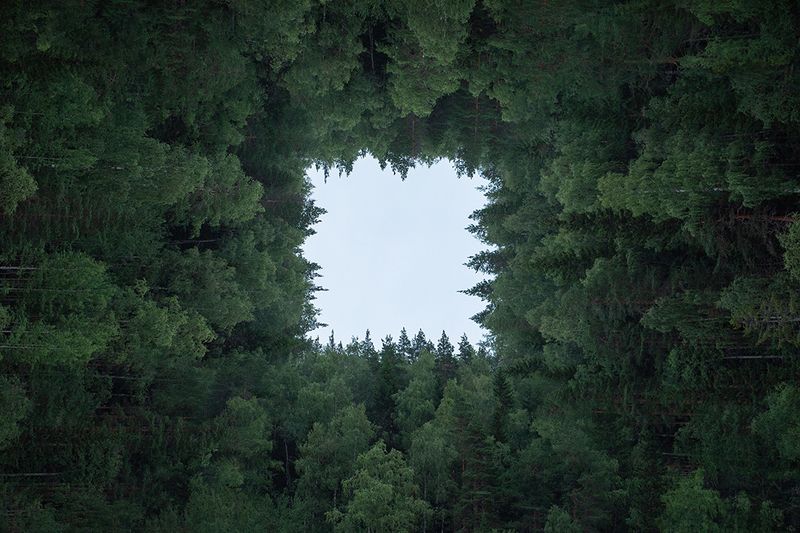 Карелия. Гимолы. 3 августа 2024. фото превью