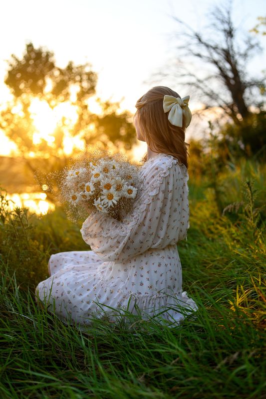 ромашки Ромашки фото превью