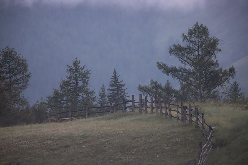 Туманное утро на окраине Алтая фото превью