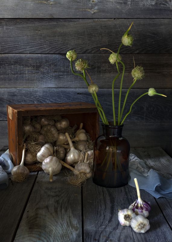 Чеснок фото превью