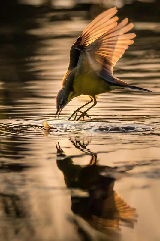 Атака фото превью