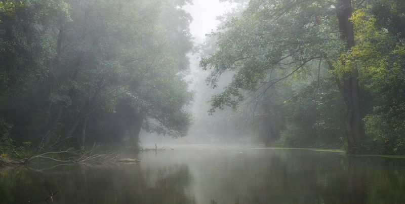 Туманность фото превью