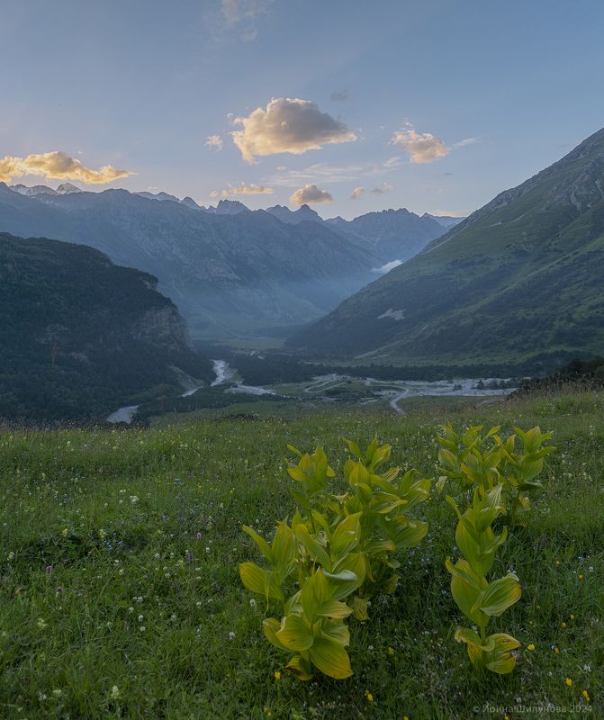Лето в горах фото превью
