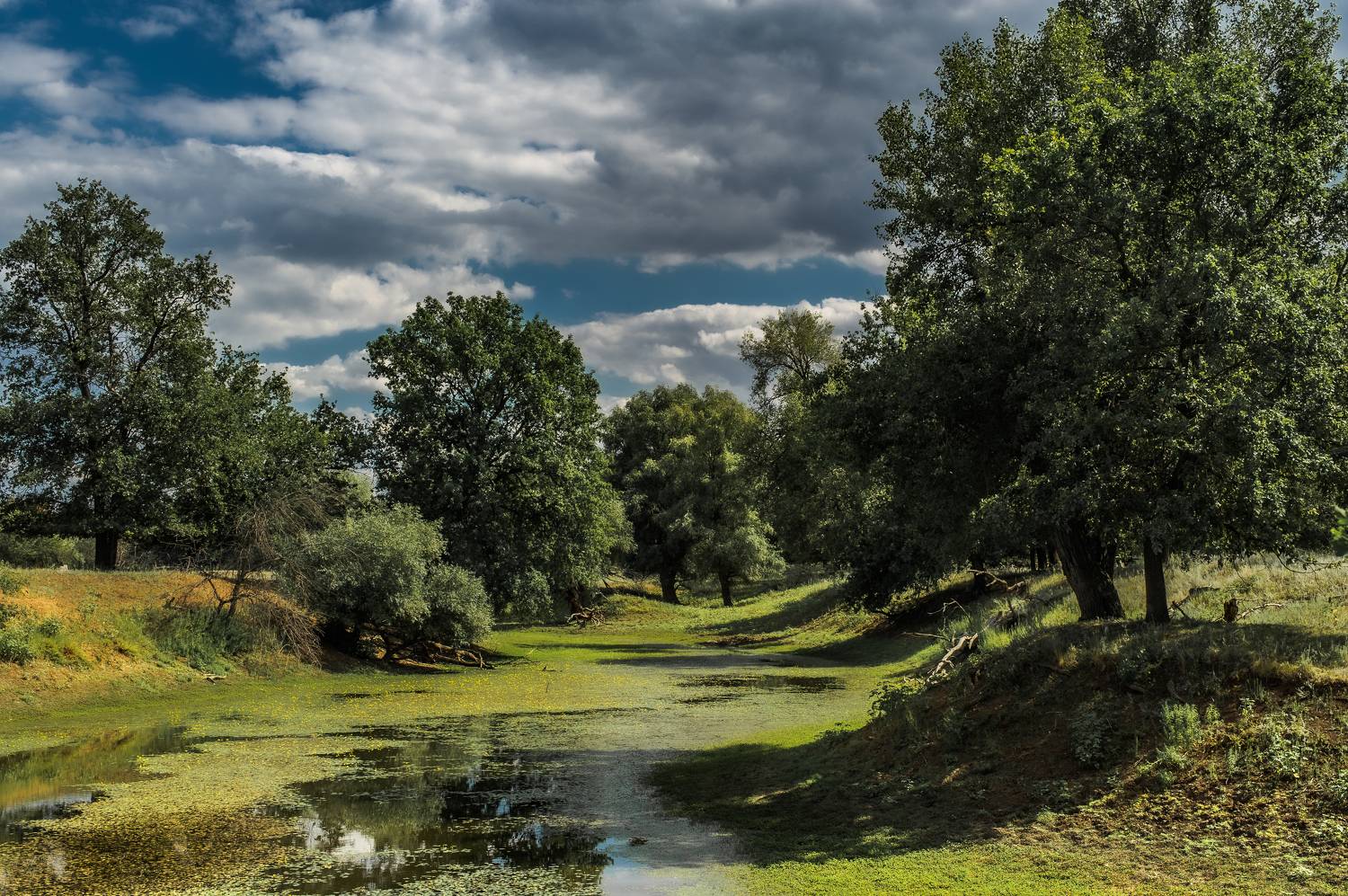 лето, пейзаж, природа, Vasilev Roman