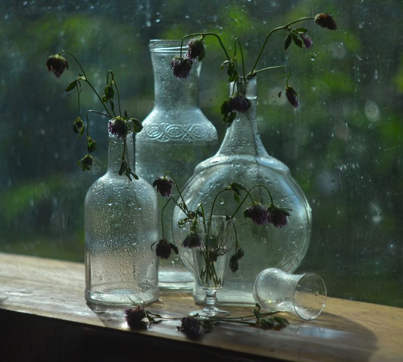 А сентябрь все ближе. фото превью