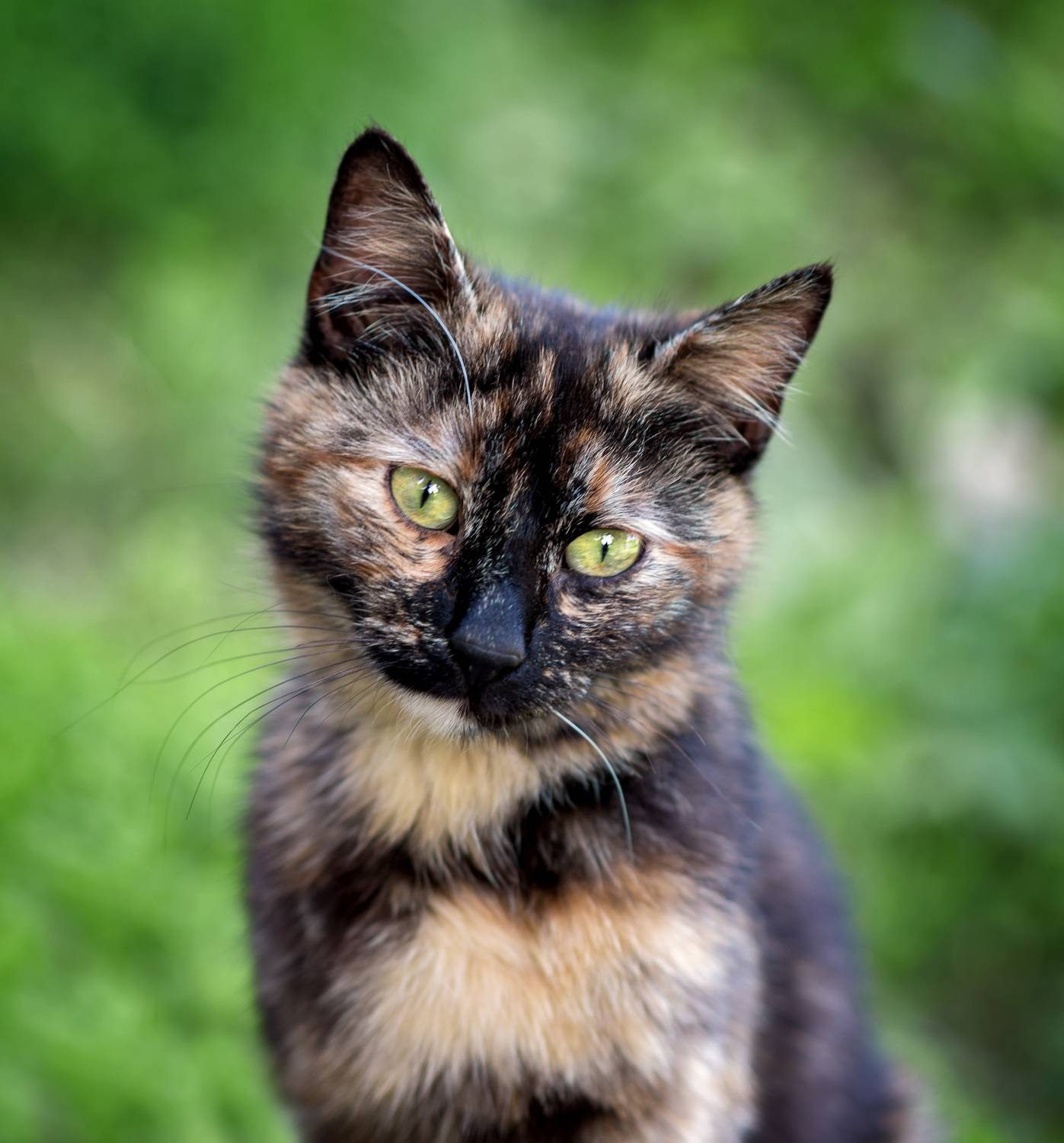 , Рагинская Ольга