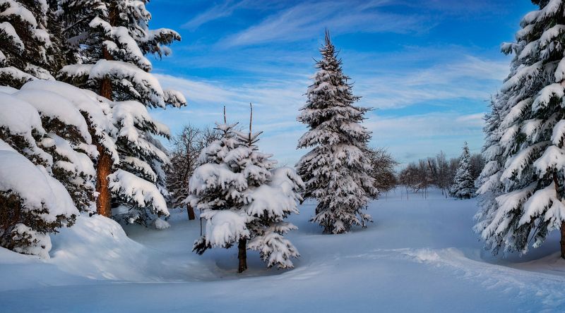 зима, вечер, снег, небо, Зимушка фото превью