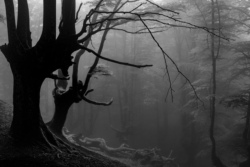 Ambientes фото превью