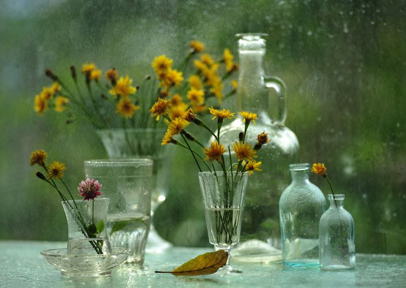 Еще один летний денёк. фото превью