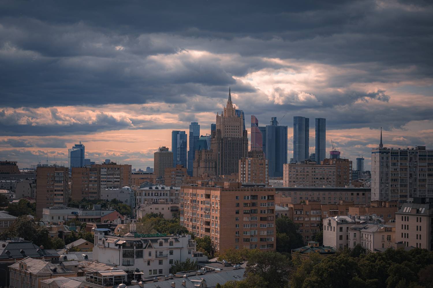 , Трепольский Дмитрий