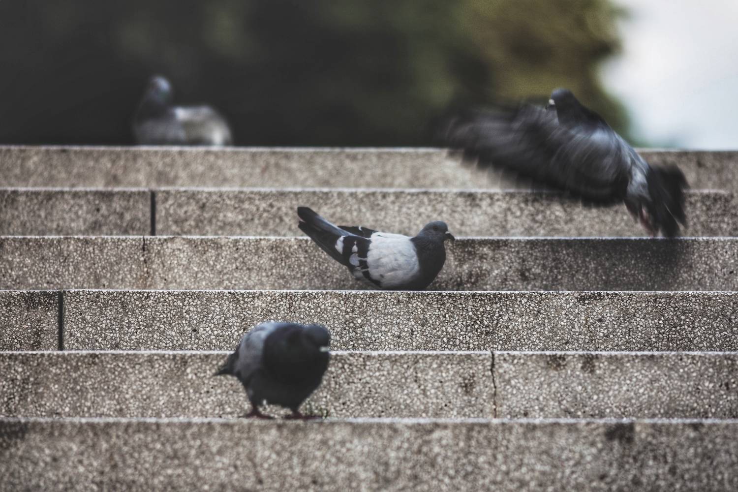 , Ga&scaron;per Le&scaron;nik