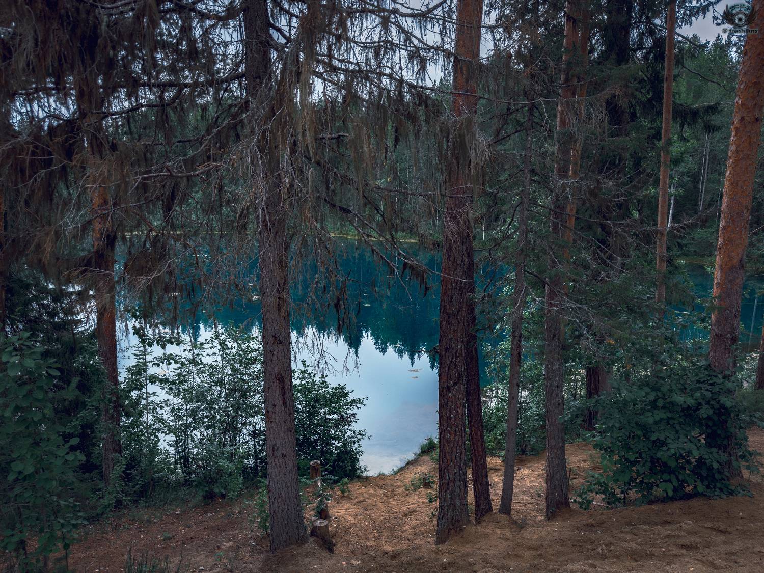 , Vladislav Trushkov