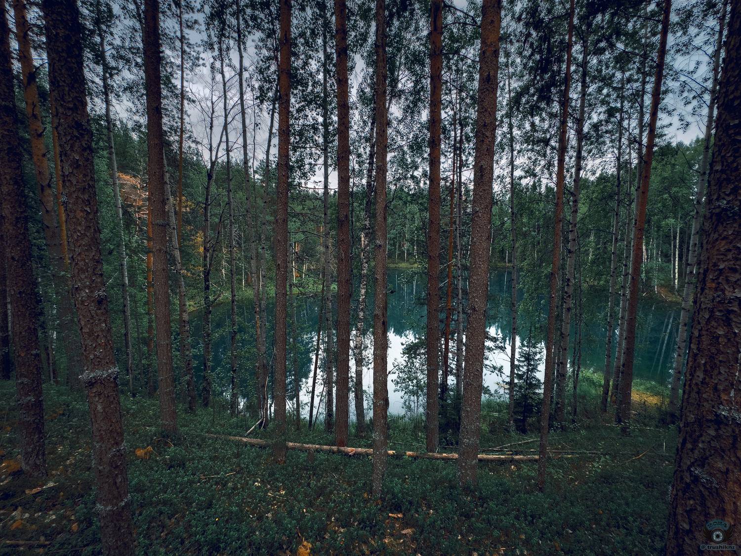 , Vladislav Trushkov