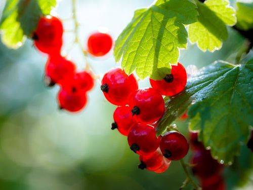 После дождя