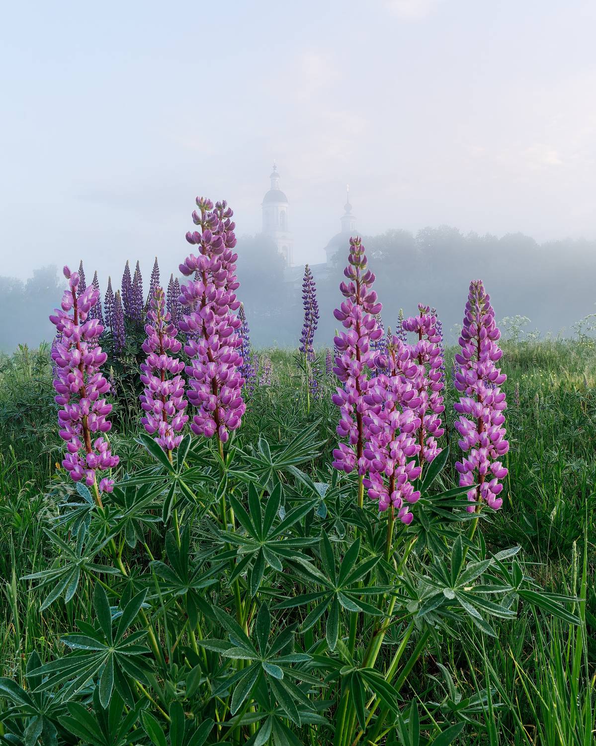 , Загруев Михаил