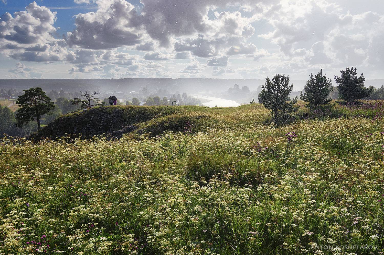 , Антон Кошетаров