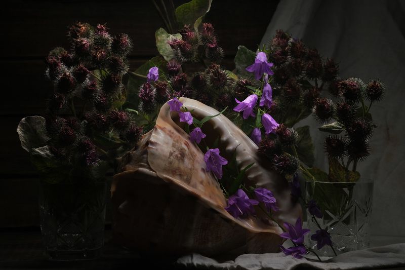 Токсичность фото превью