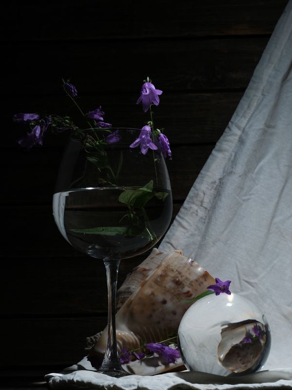 Черный, Белый, Фиолетовый фото превью