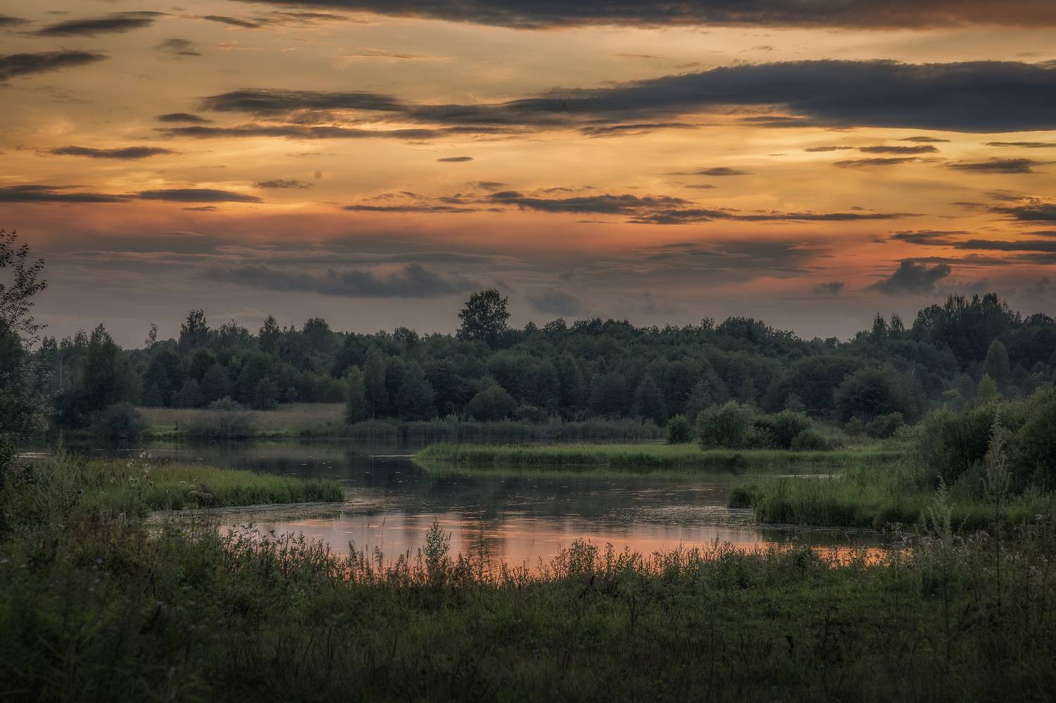 тверская, область, Гусева Елена