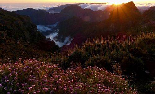 Уходящий день...