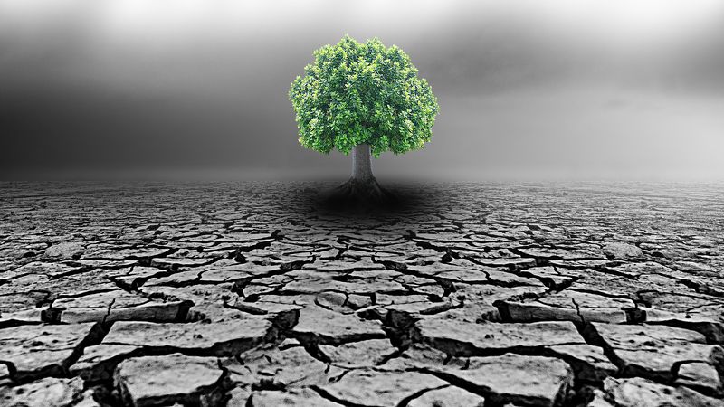 The Drought фото превью