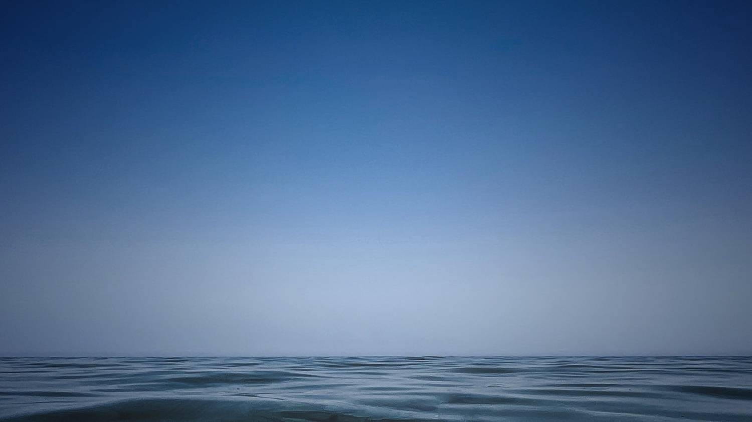 , Ga&scaron;per Le&scaron;nik