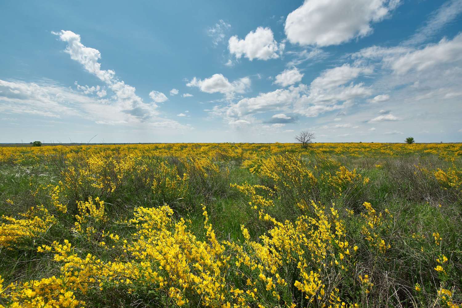 volgograd, russia, , Павел Сторчилов