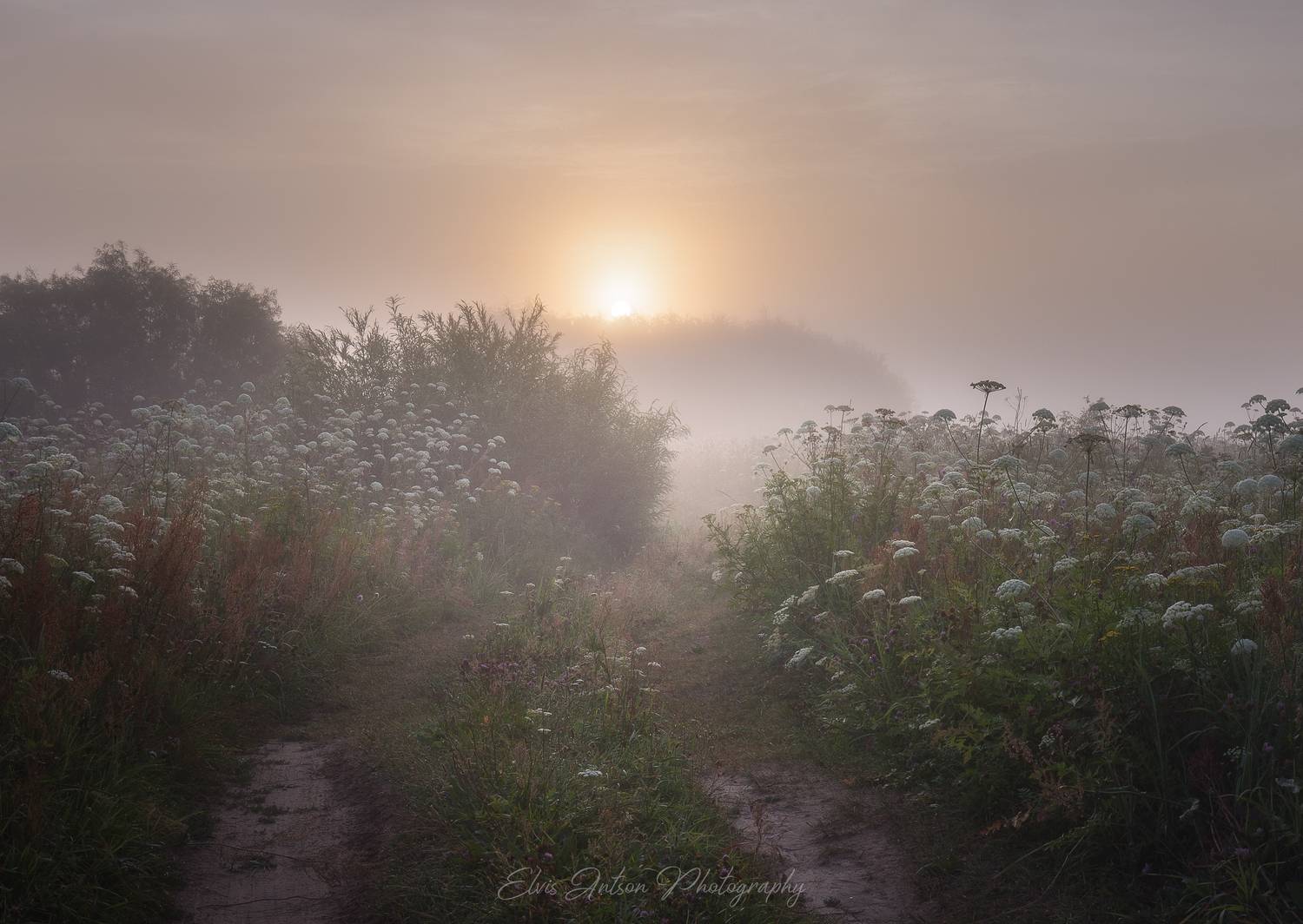 пейзаж, природа, Elvis Antson